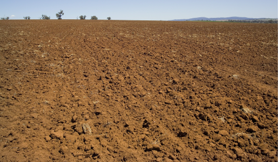 Australia bare soil smaller