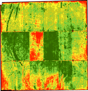Irrigation issue in NDVI