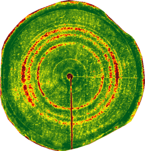 Plugged nozzle in NDVI