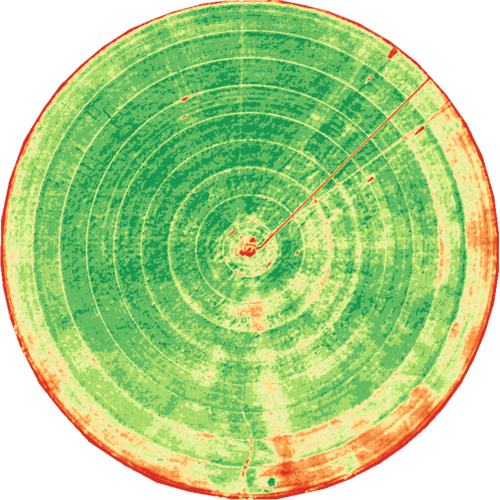 chlorophyll_center_pivot