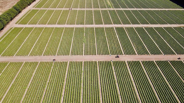 aerial rows and tractors_small
