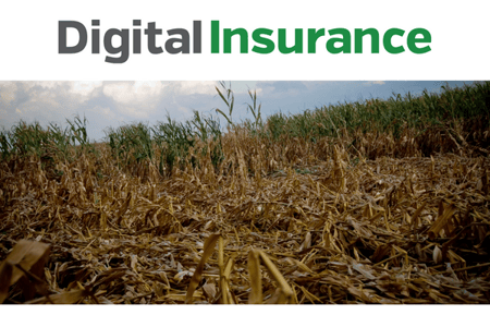 digital insurance header