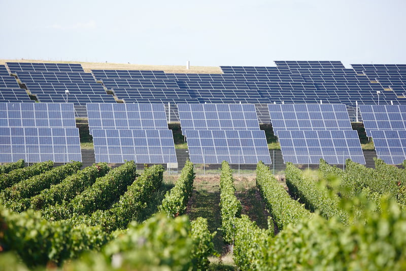 vineyard solar