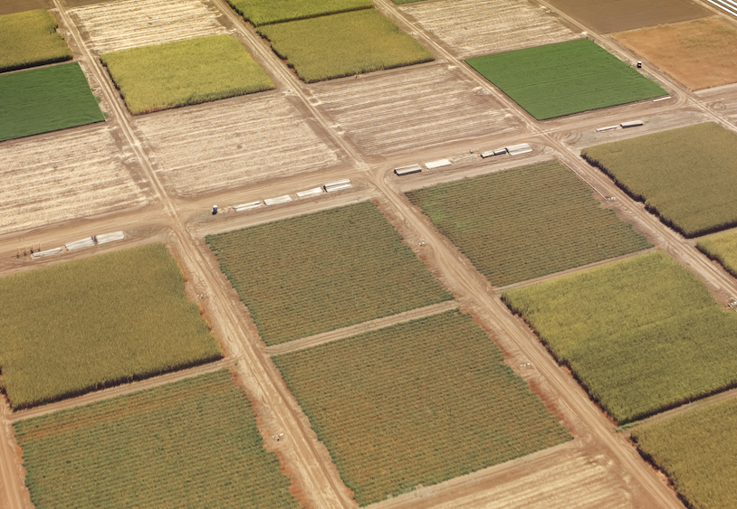 aerial view of farm plots