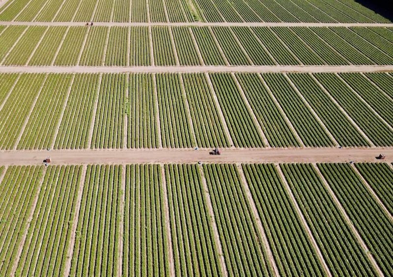 aerial rows and tractors 800x563