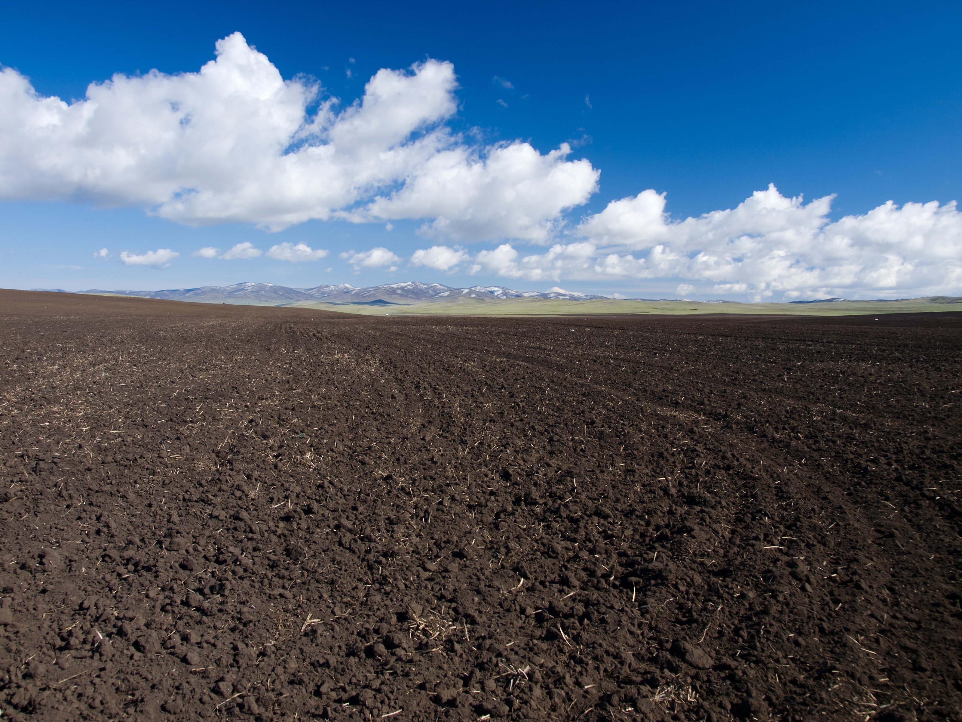 Bare soil field