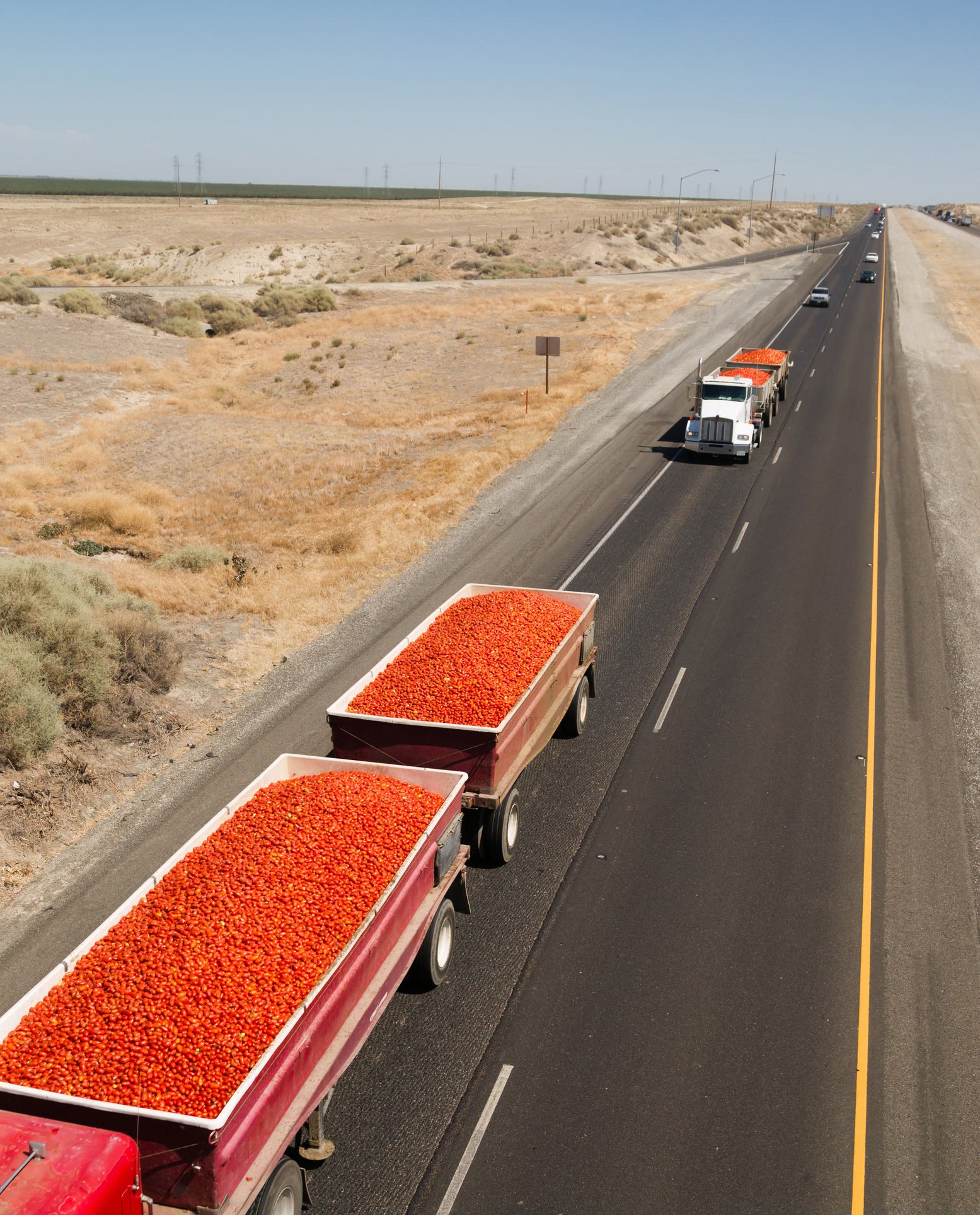 tomatoes in trucks