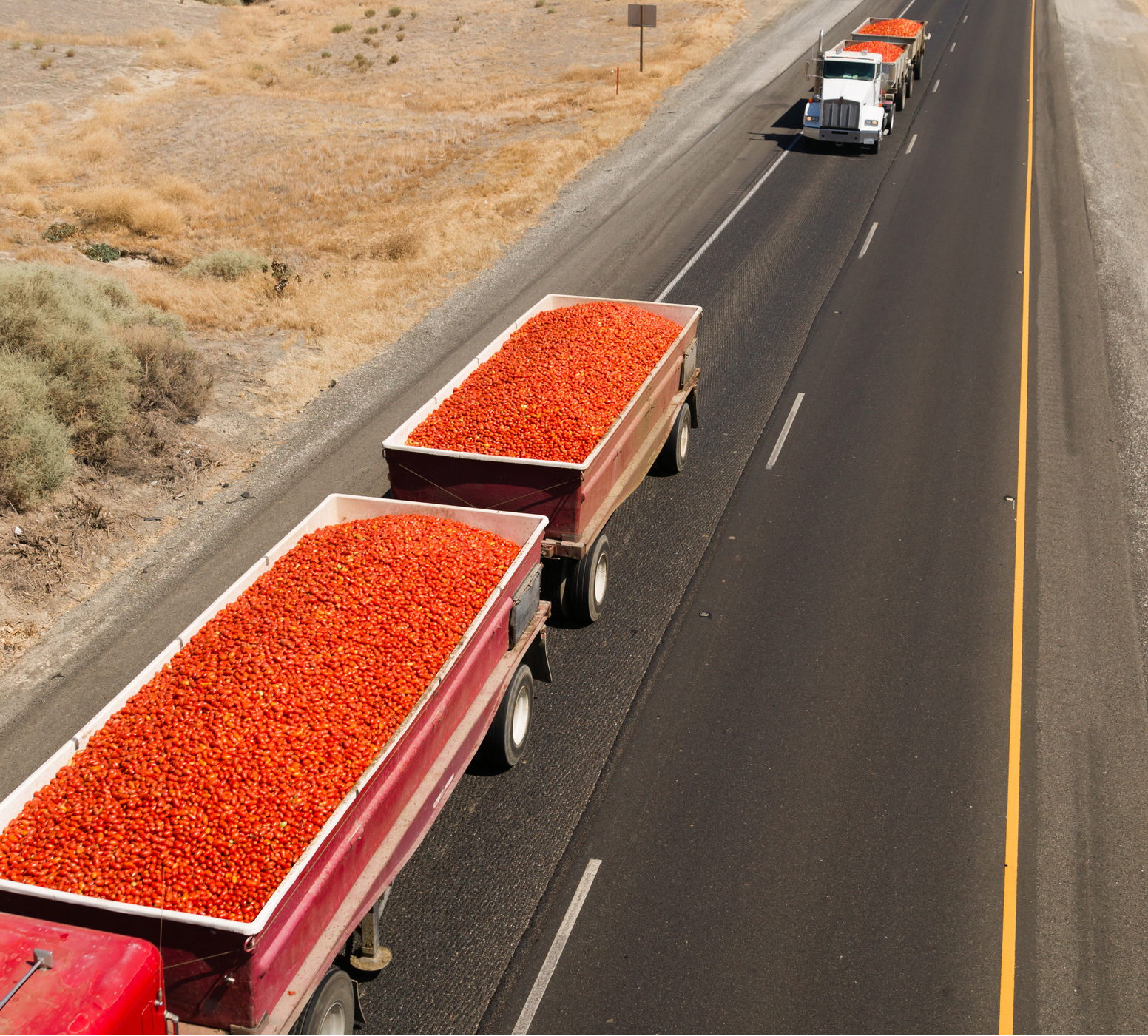 tomatoes in trucks