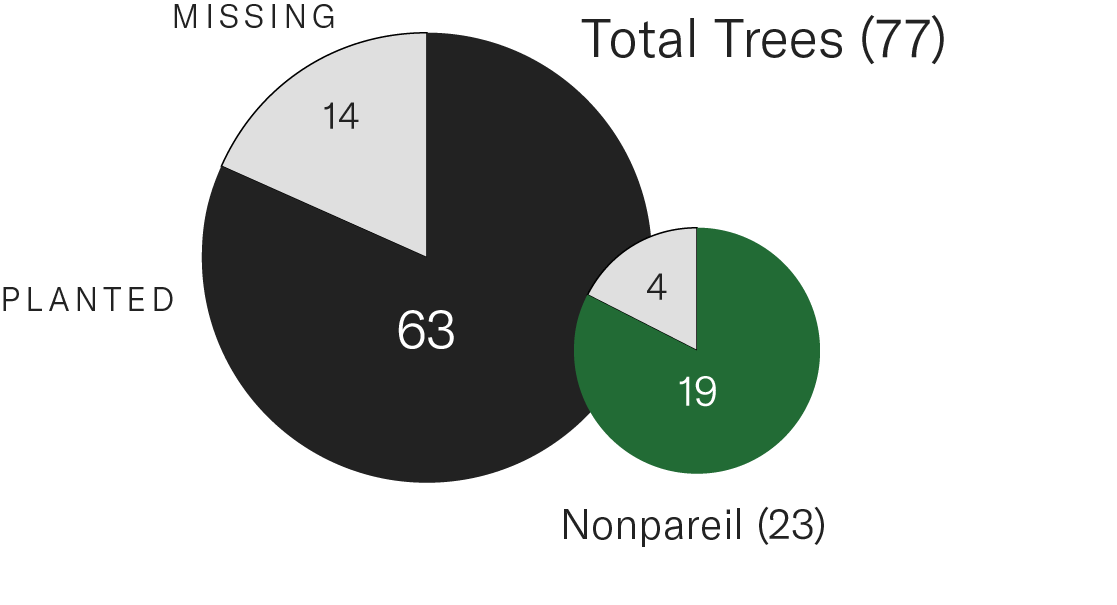 tree count chart detail