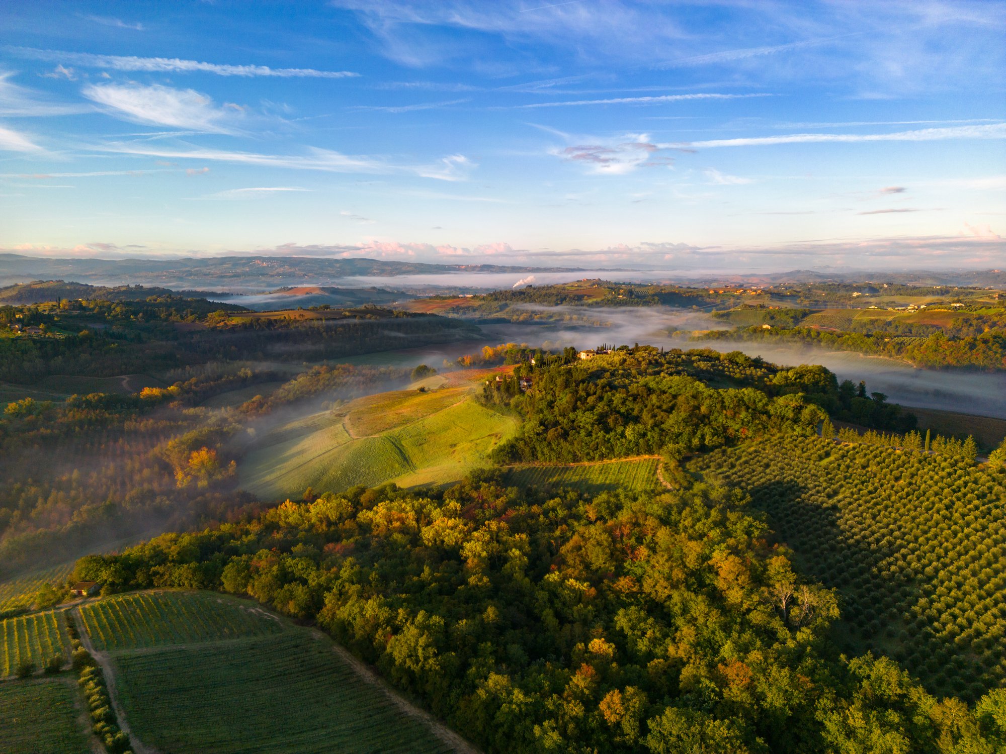 aerial view of vineyard with morning mist